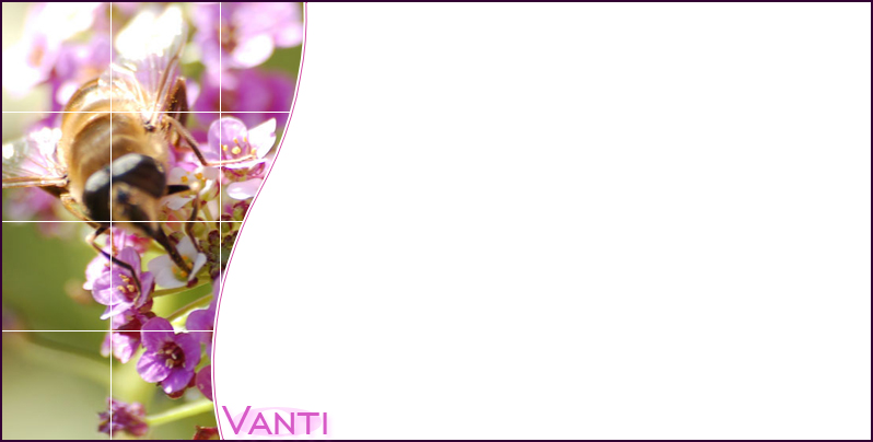 vanti